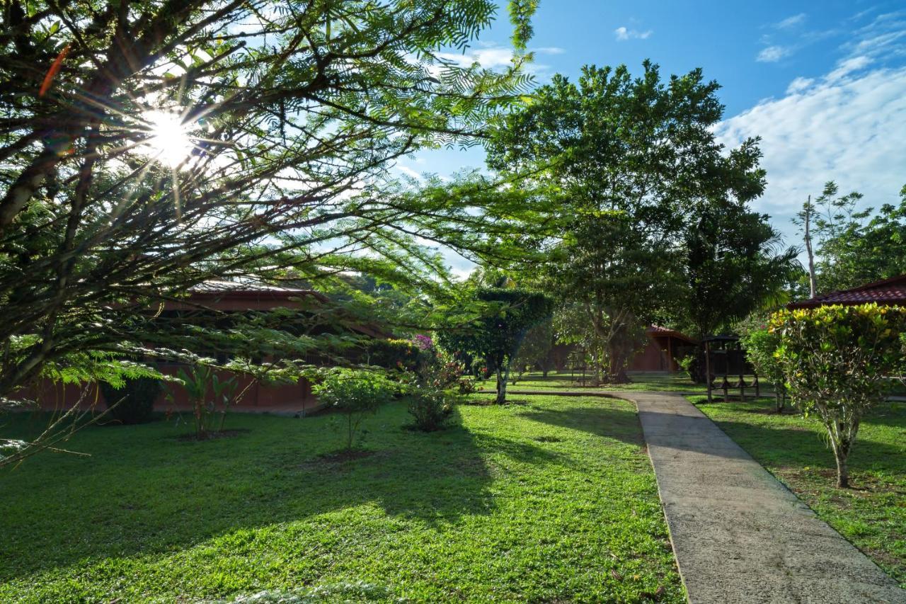 Natural Lodge Cano Negro Luaran gambar
