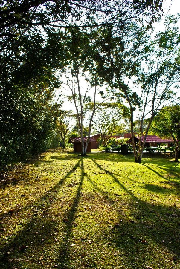 Natural Lodge Cano Negro Luaran gambar