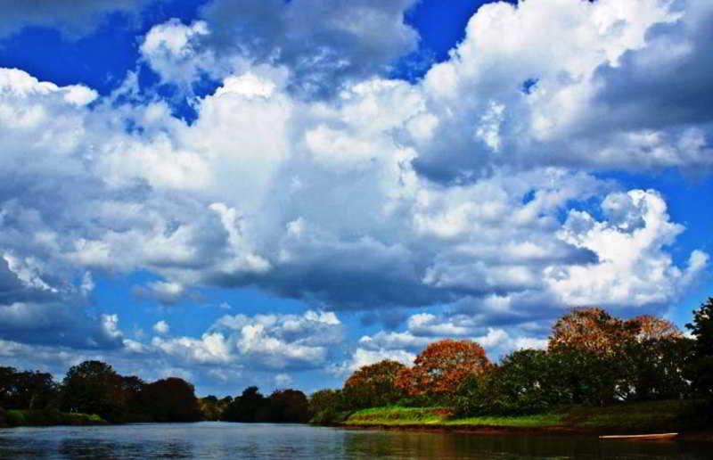 Natural Lodge Cano Negro Luaran gambar