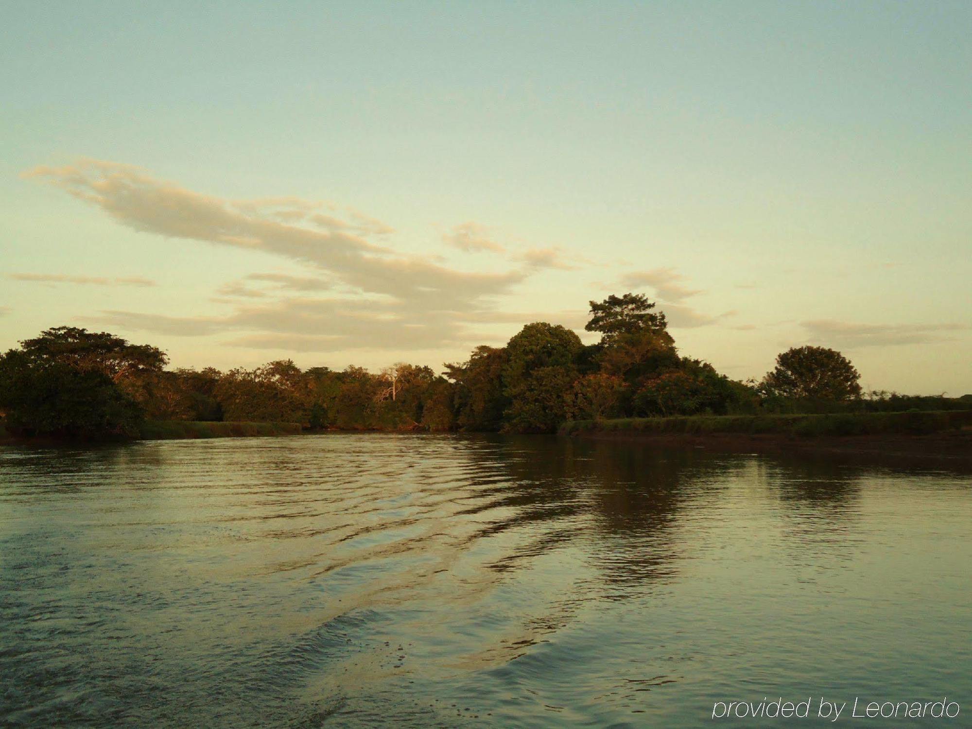 Natural Lodge Cano Negro Luaran gambar